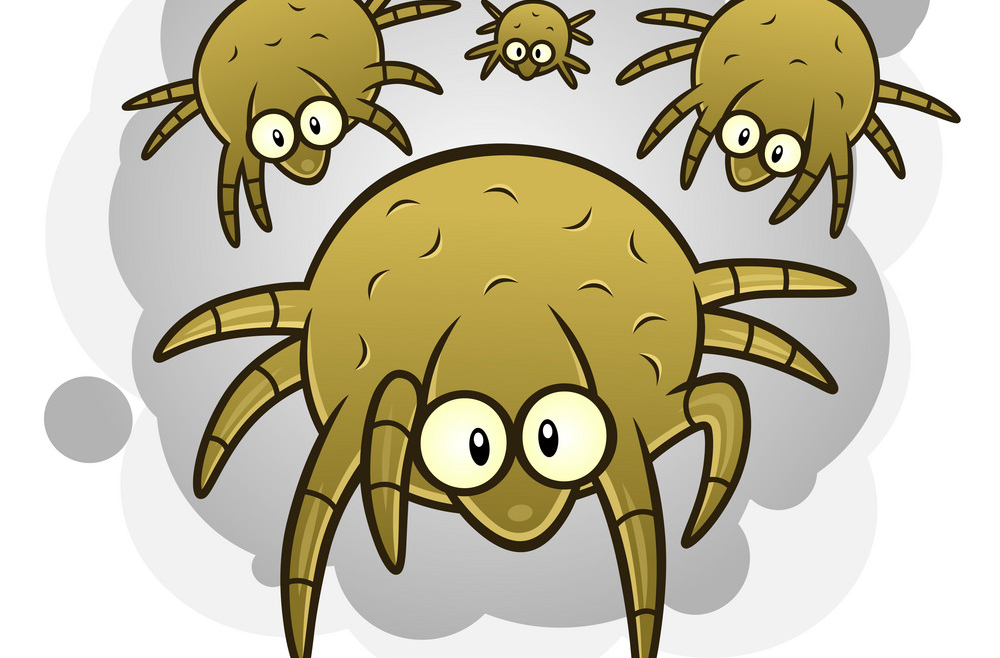 Τι είναι τα ακάρεα;