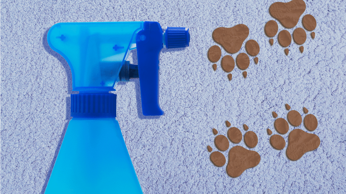 Τι απαγορεύεται στην συντήρηση των ταπήτων;